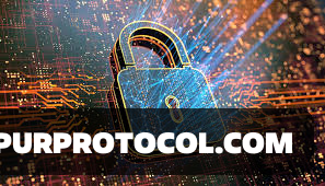 Cryptocurrency Security Best Practices: Protecting Your Digital Assets ...