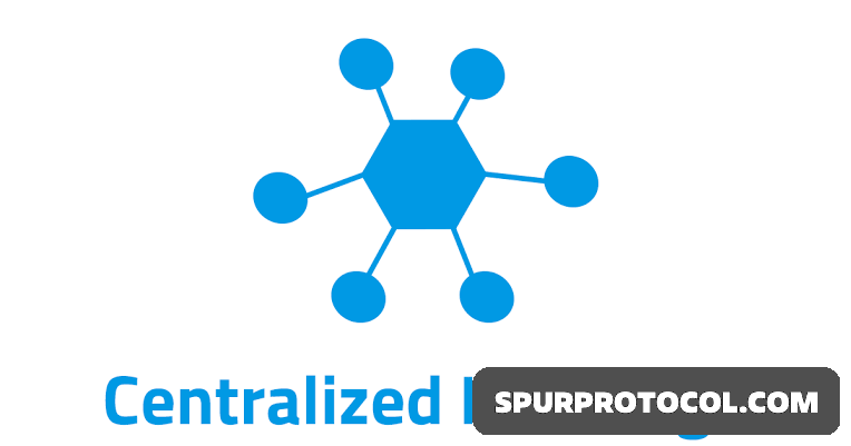 What Are Centralized Exchanges and How Do They Work? - SpurProtocol