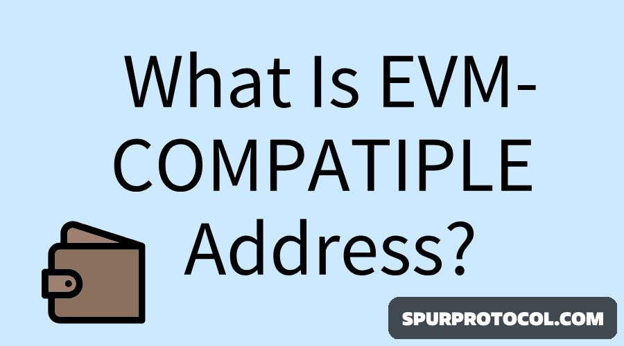 What are EVM-compatible blockchains? - SpurProtocol