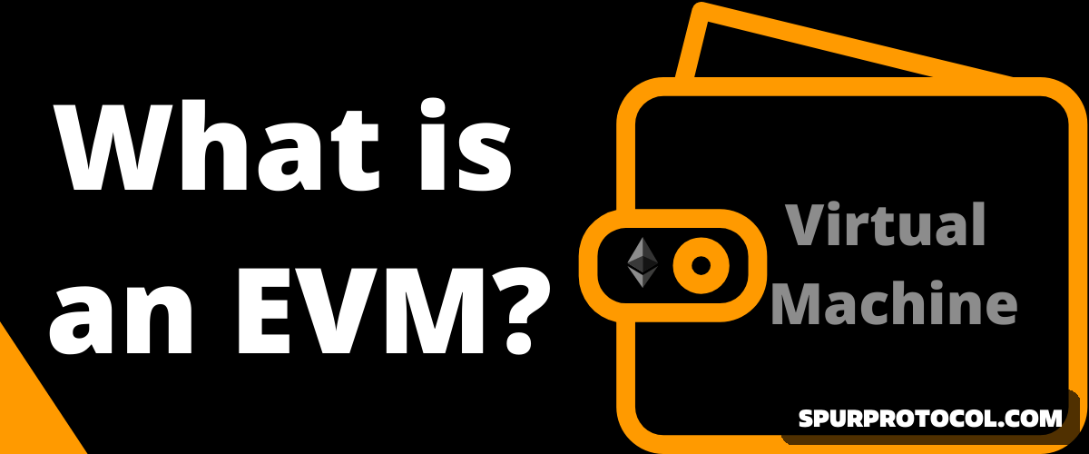 WHAT IS EVM WALLET? - SpurProtocol