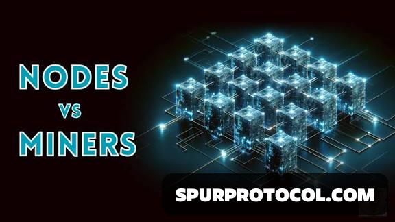 What is the Difference Between a Miner and a Full Node? - SpurProtocol